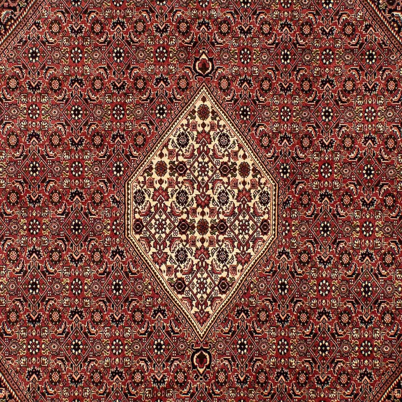 Tapis persan - Bidjar - 288 x 200 cm - marron