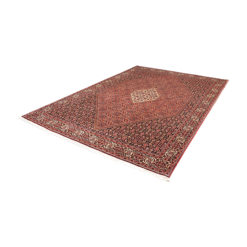 Tapis persan - Bidjar - 288 x 200 cm - marron