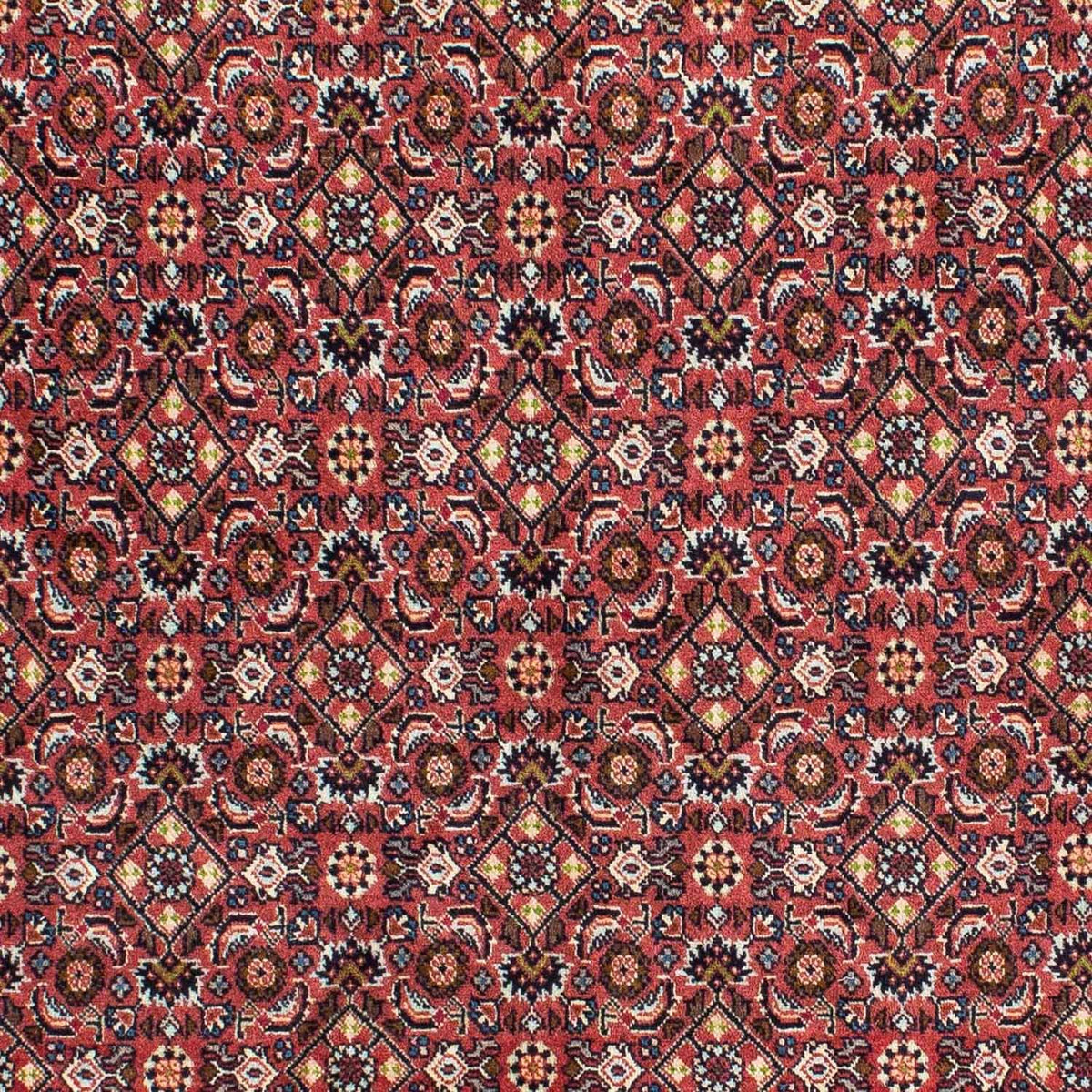 Tapis persan - Bidjar - 215 x 140 cm - rouge