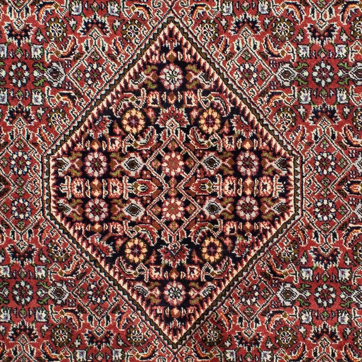 Tapis persan - Bidjar - 218 x 140 cm - rouge