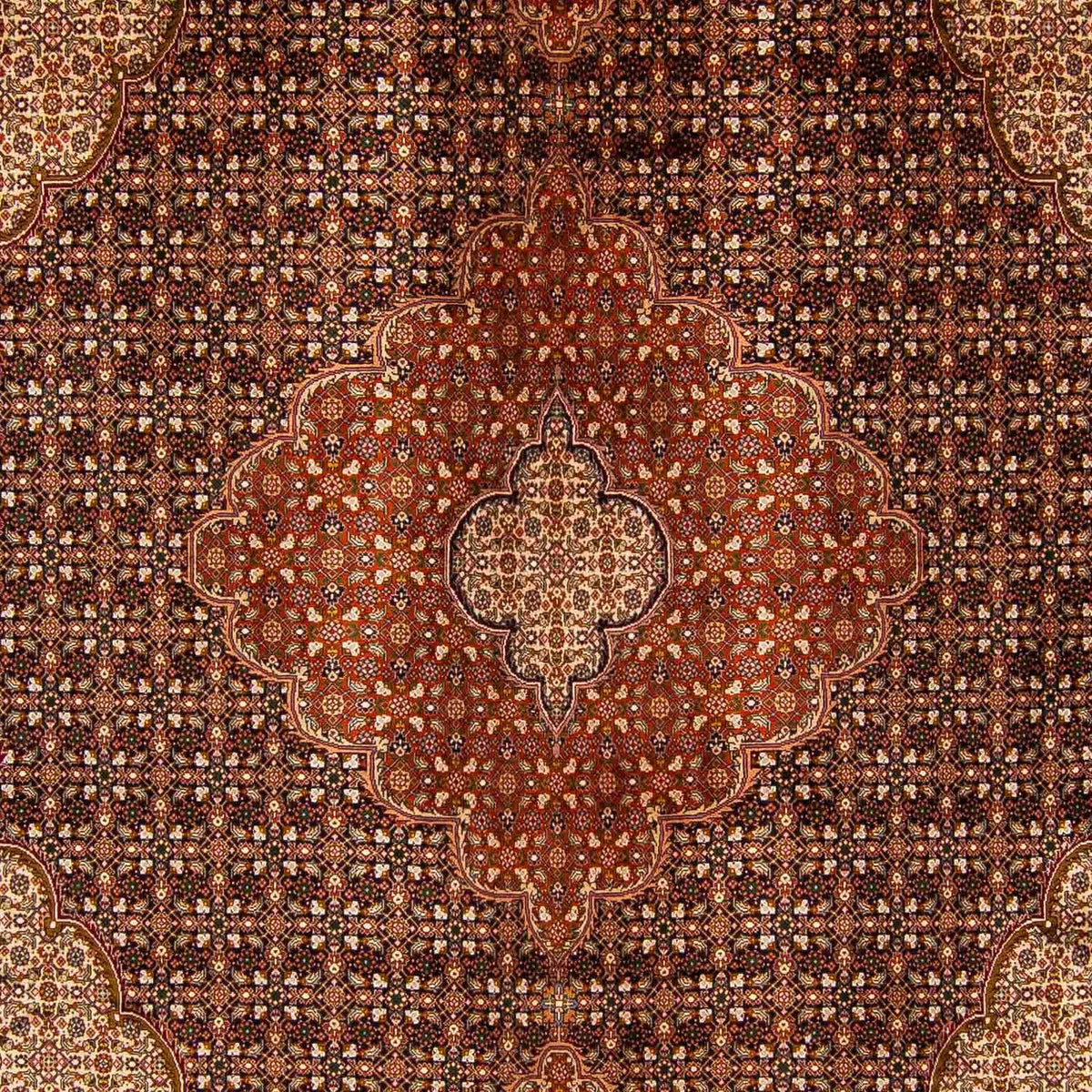 Tapis persan - Tabriz - 390 x 295 cm - marron