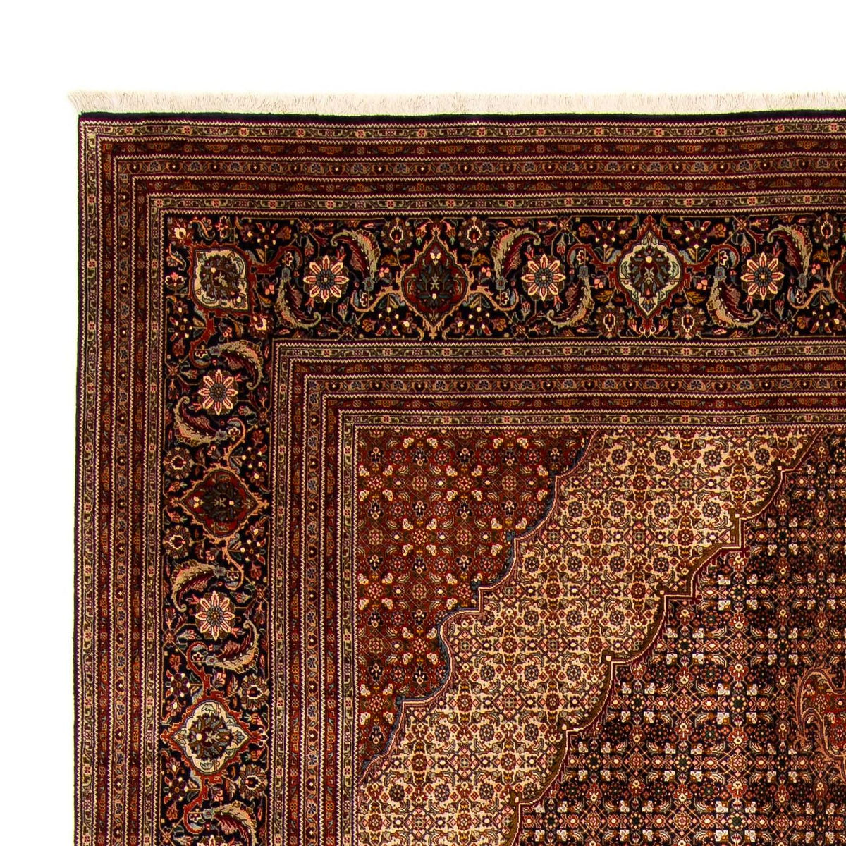 Tapis persan - Tabriz - 390 x 295 cm - marron