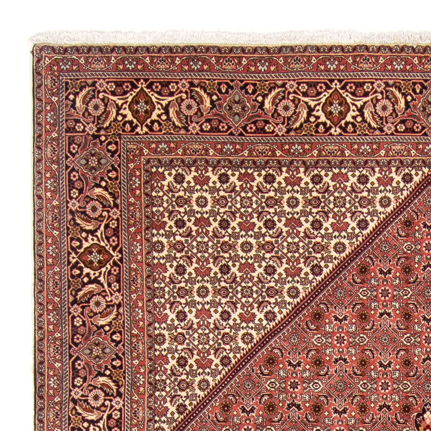 Tapis de Bidjar Tapis 340x248cm - Tapis persan