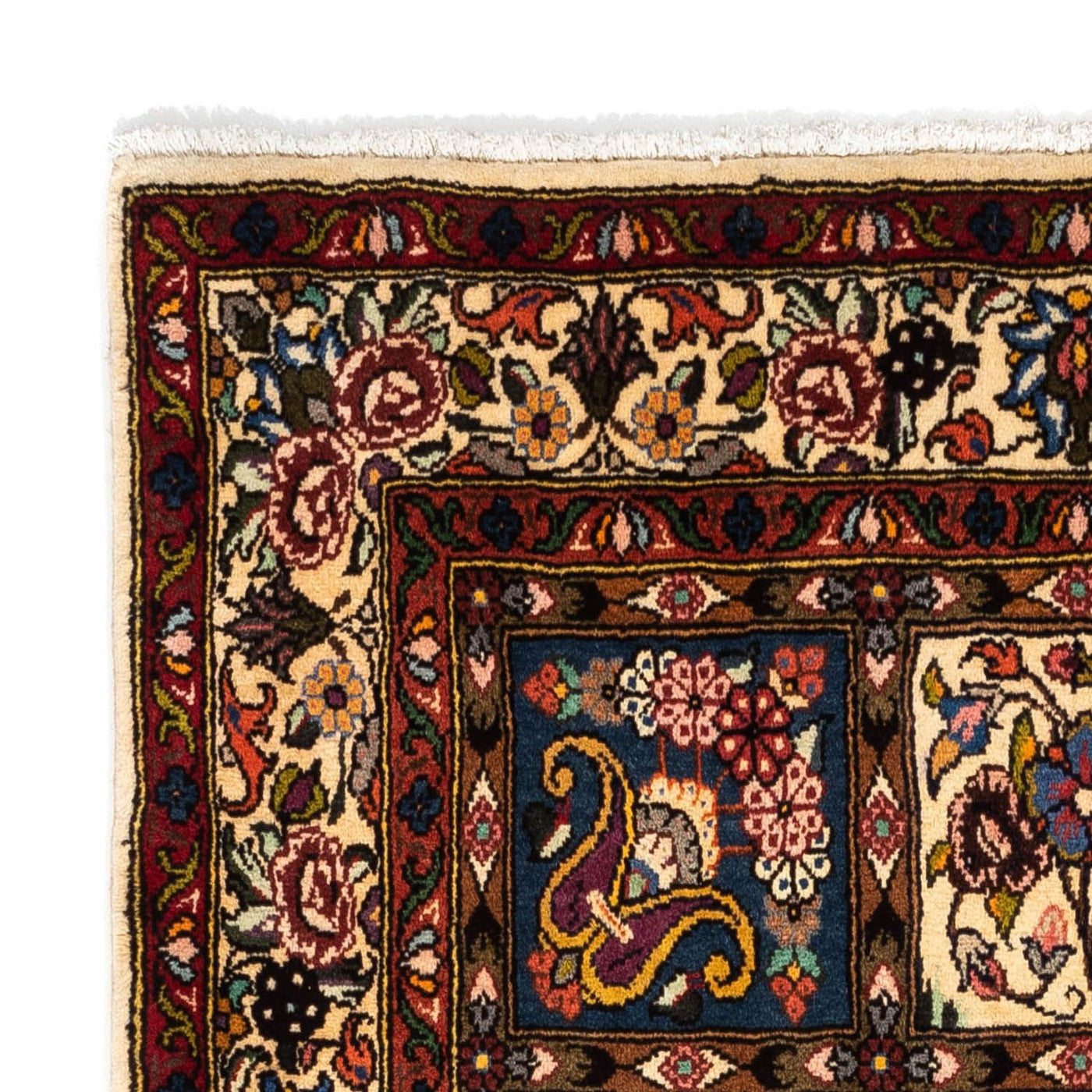 Tapis Bakhtiari Tapis 171x107cm - Tapis persan