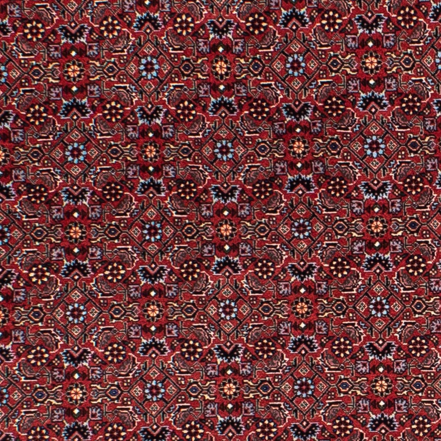 Tapis persan - Bidjar ronde  - 160 x 160 cm - rouge foncé