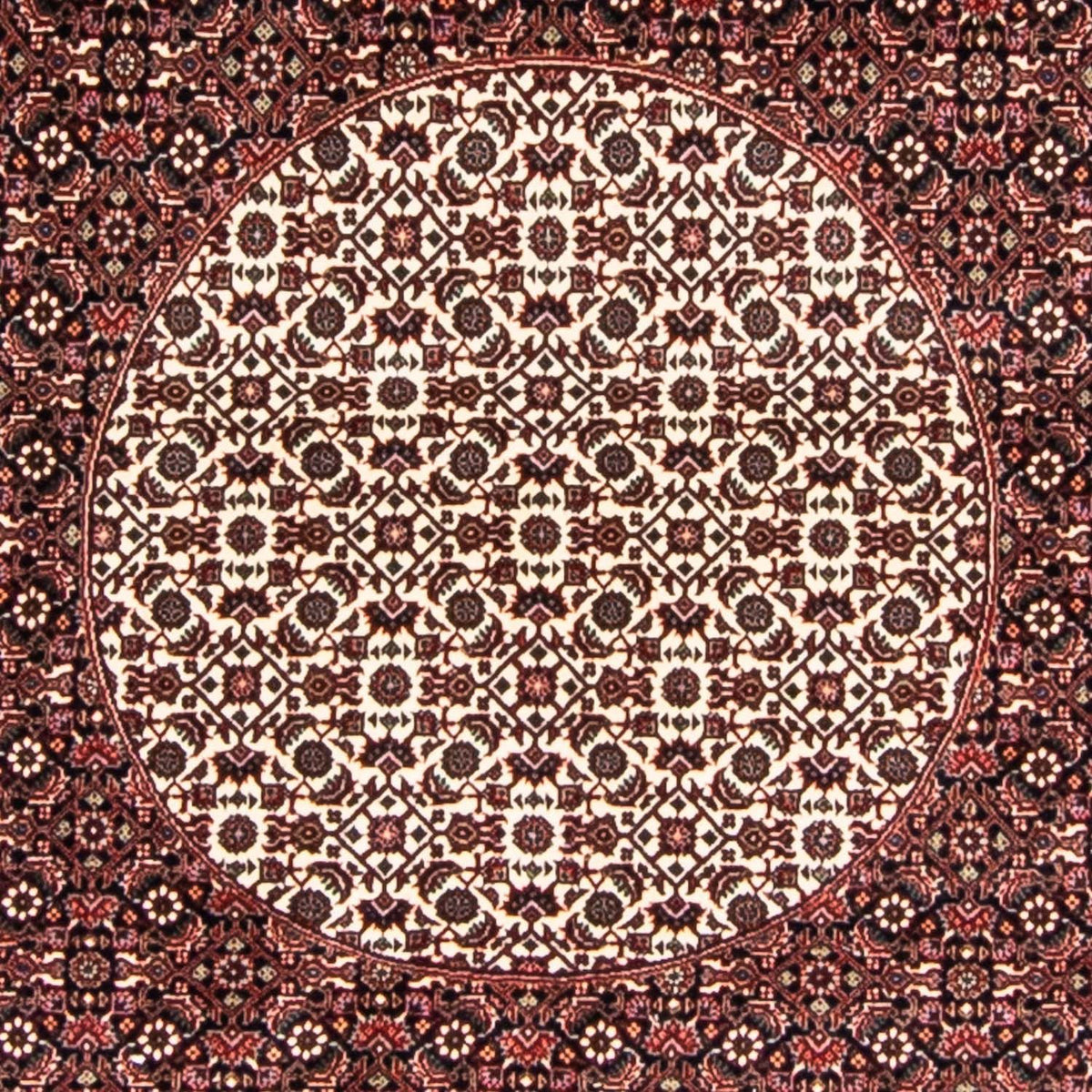 Tapis persan - Bidjar ronde  - 247 x 247 cm - rouge foncé