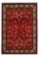 Tapis persan - Nomadic - 302 x 210 cm - rouge foncé