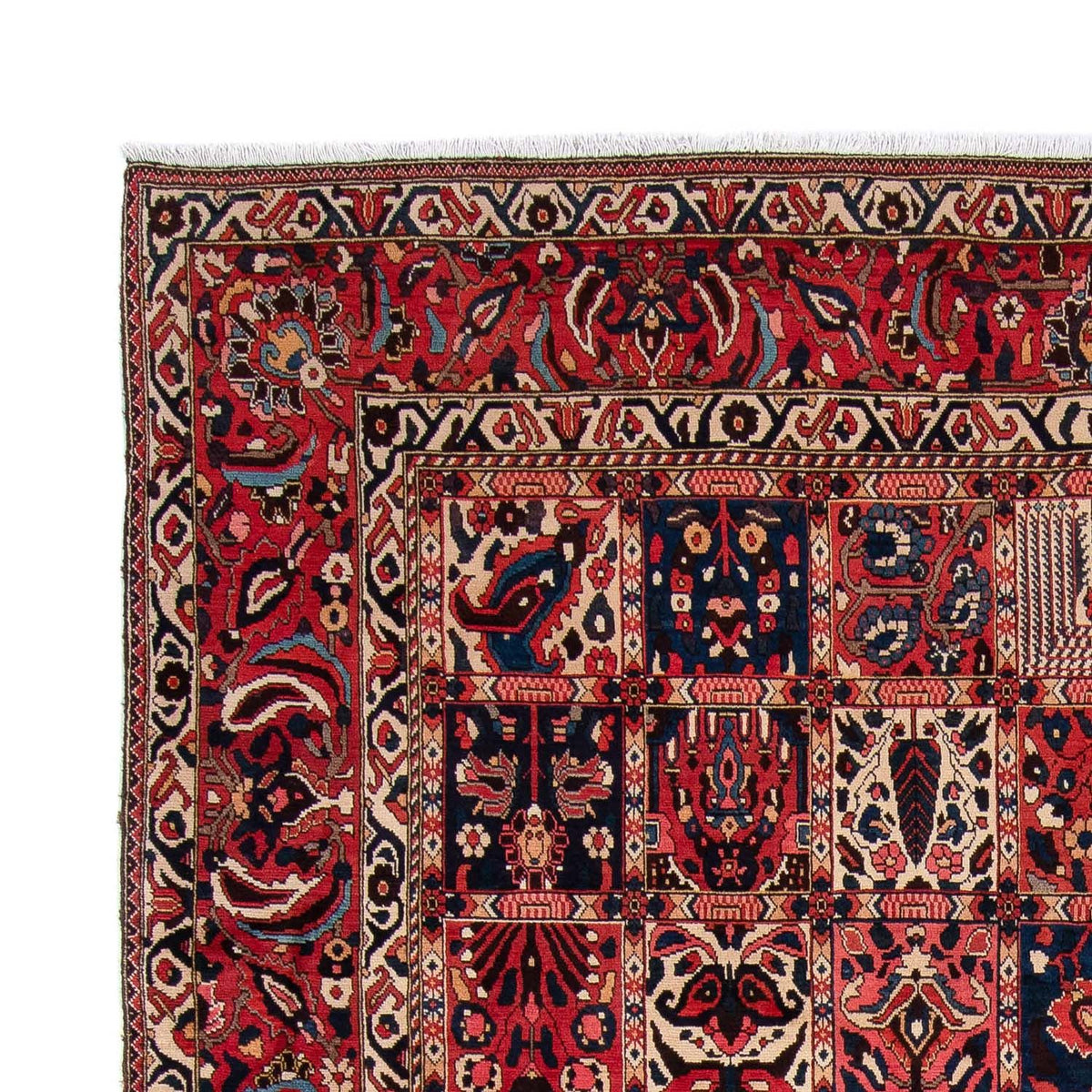 Tapis Bakhtiari Tapis 261x358cm - Tapis persan