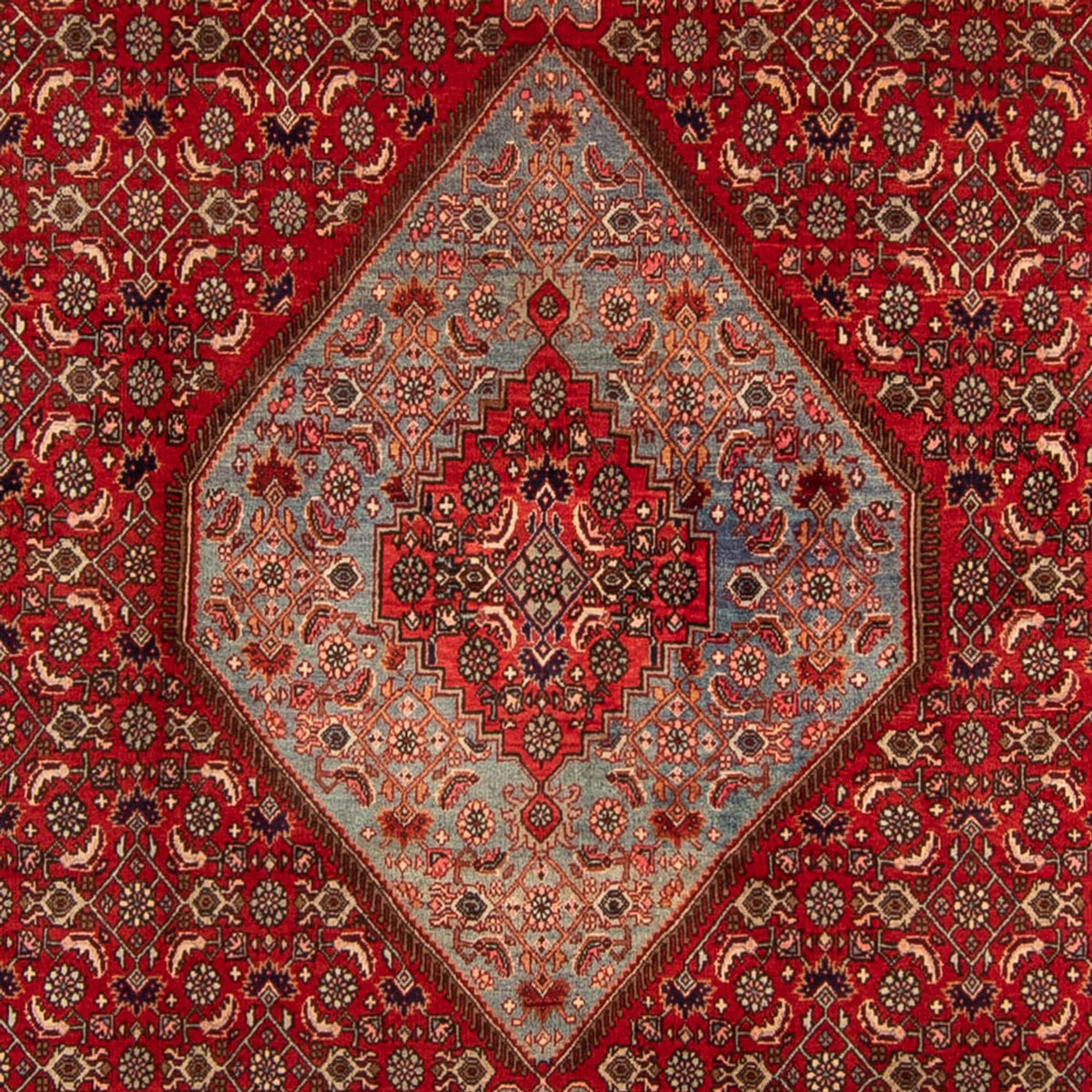 Tapis persan - Bidjar - 332 x 228 cm - rouge foncé