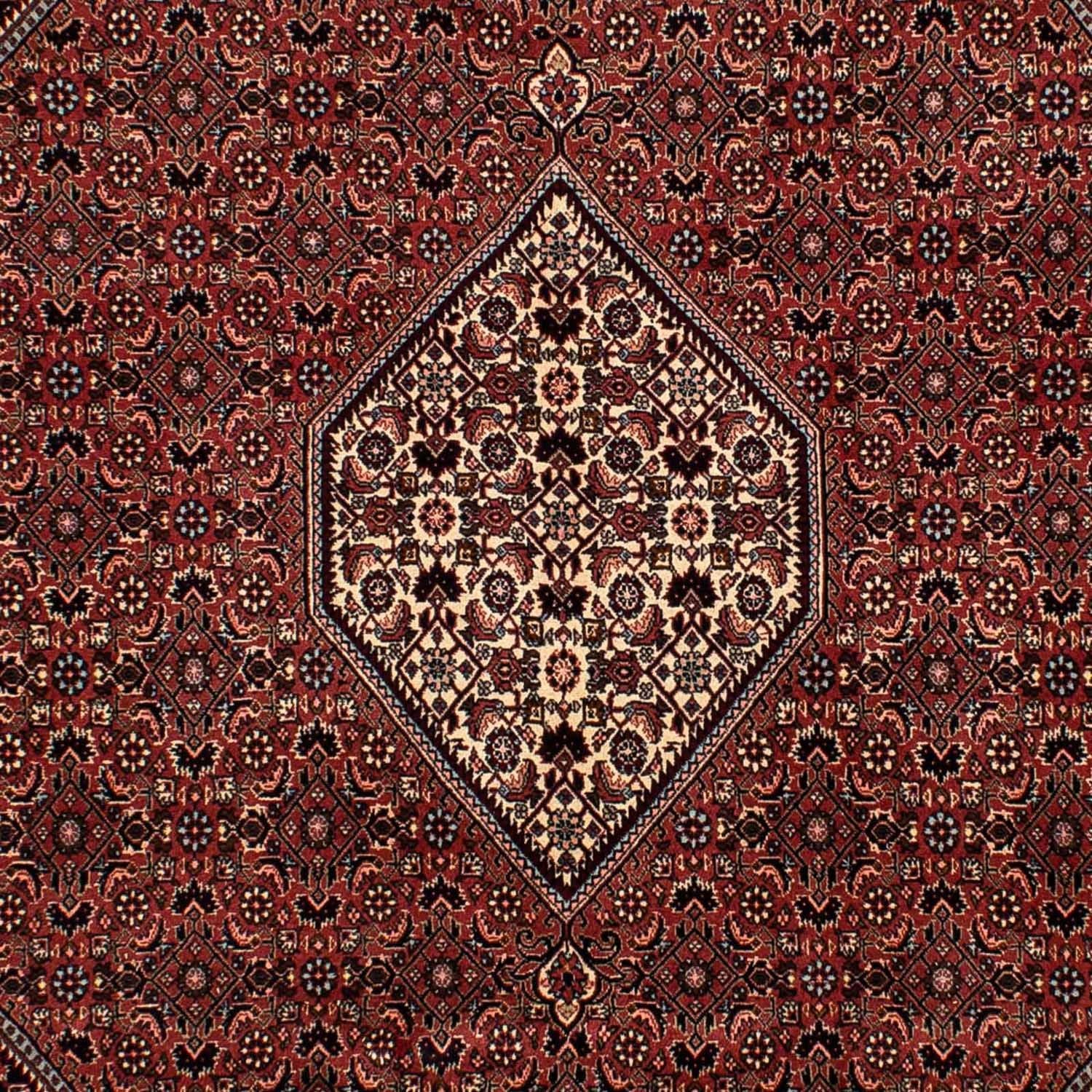 Tapis persan - Bidjar - 302 x 198 cm - rouge foncé