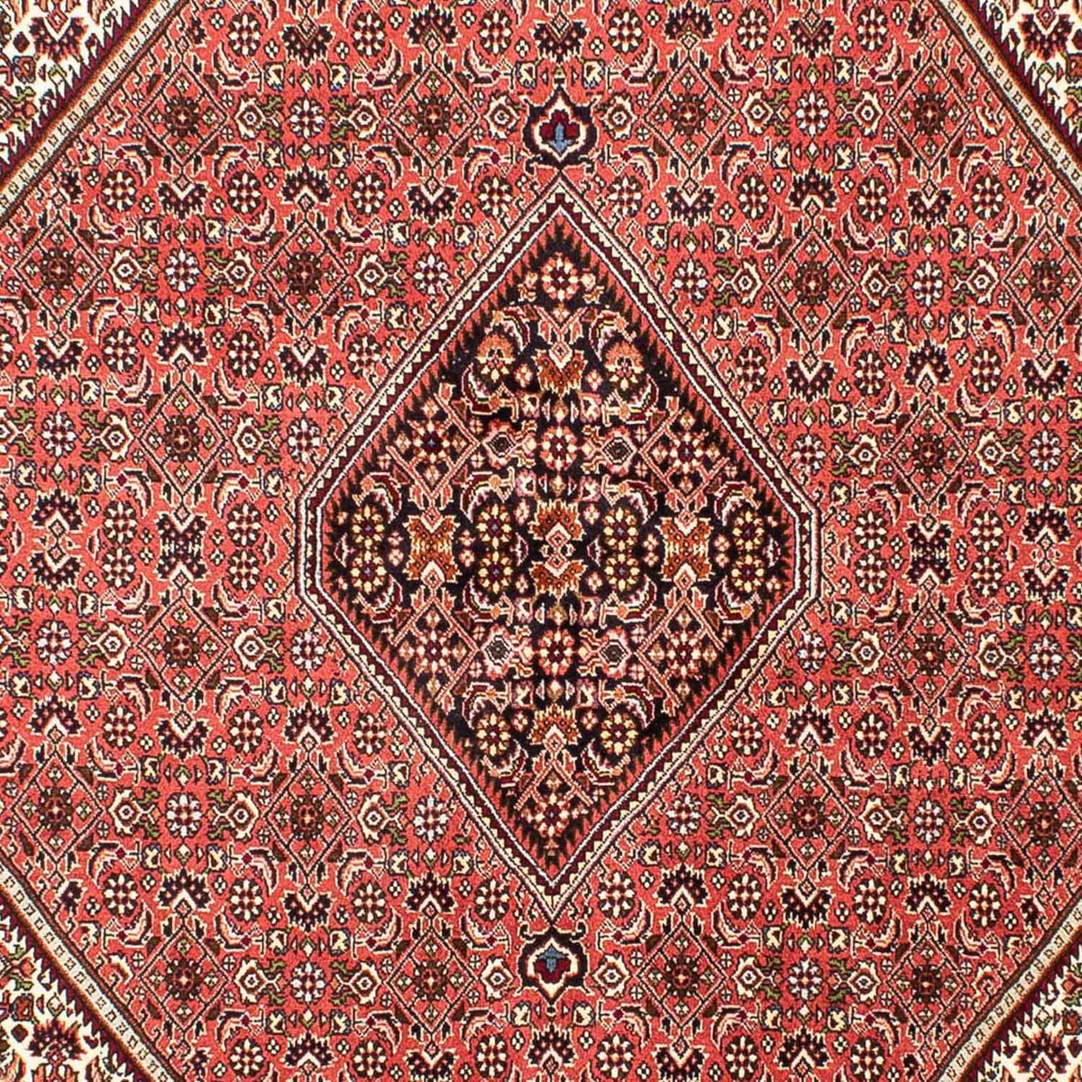 Tapis persan - Bidjar - 243 x 174 cm - rouge clair