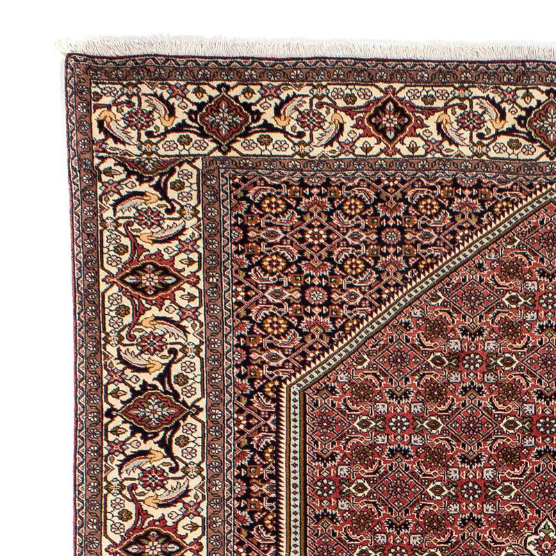 Tapis persan - Bidjar - 288 x 195 cm - rouge clair