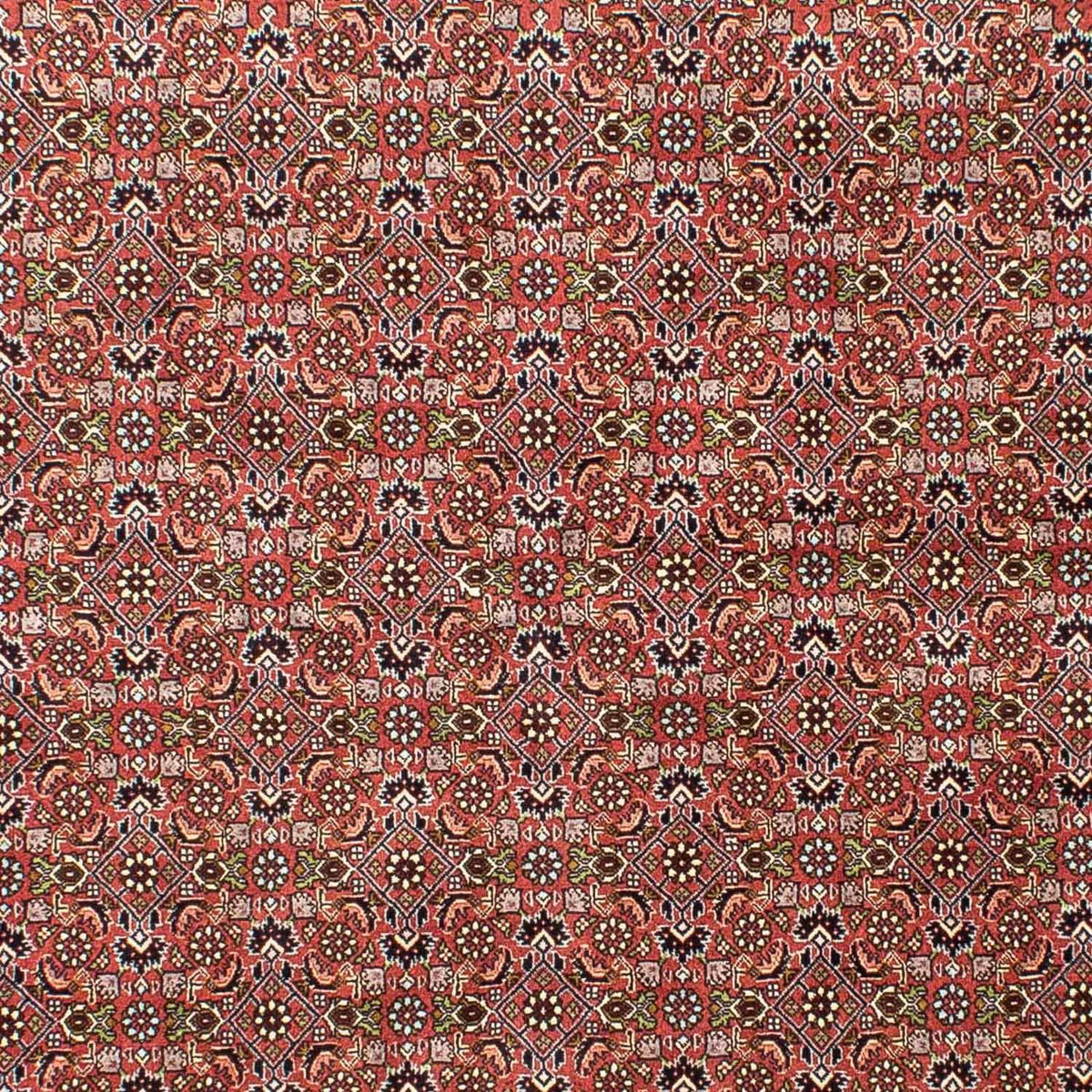 Tapis persan - Bidjar - 251 x 172 cm - rouge clair