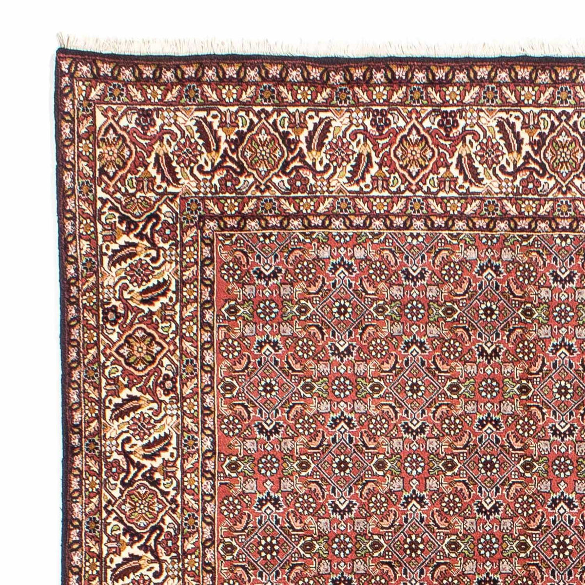 Tapis persan - Bidjar - 251 x 172 cm - rouge clair