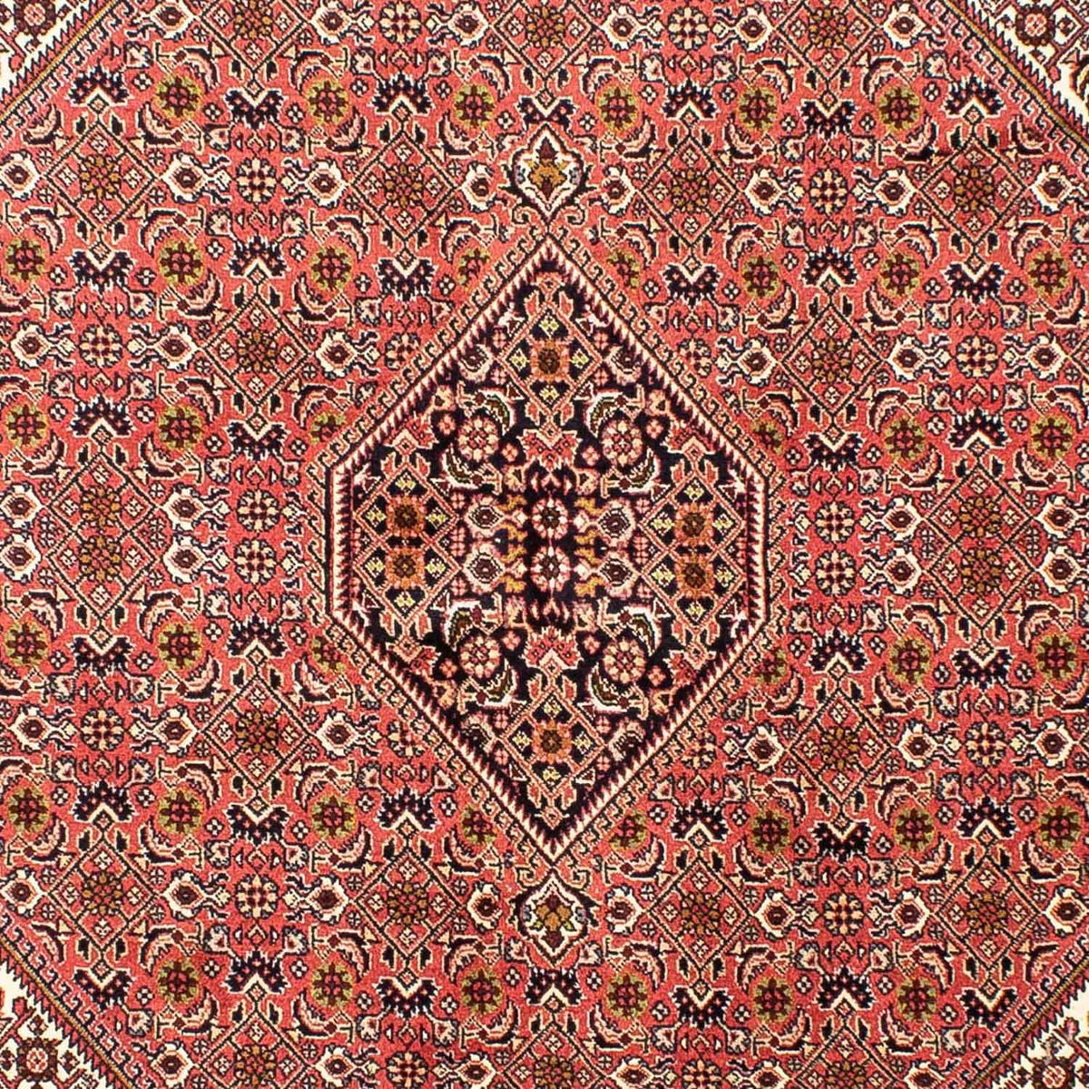 Tapis persan - Bidjar - 240 x 170 cm - rouge clair
