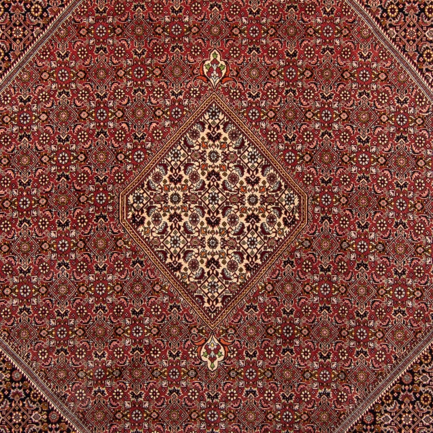 Tapis persan - Bidjar - 338 x 250 cm - marron