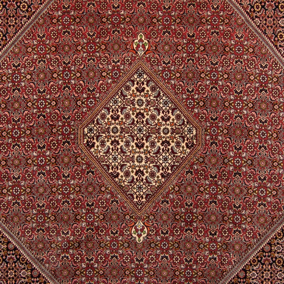 Tapis persan - Bidjar - 338 x 250 cm - marron