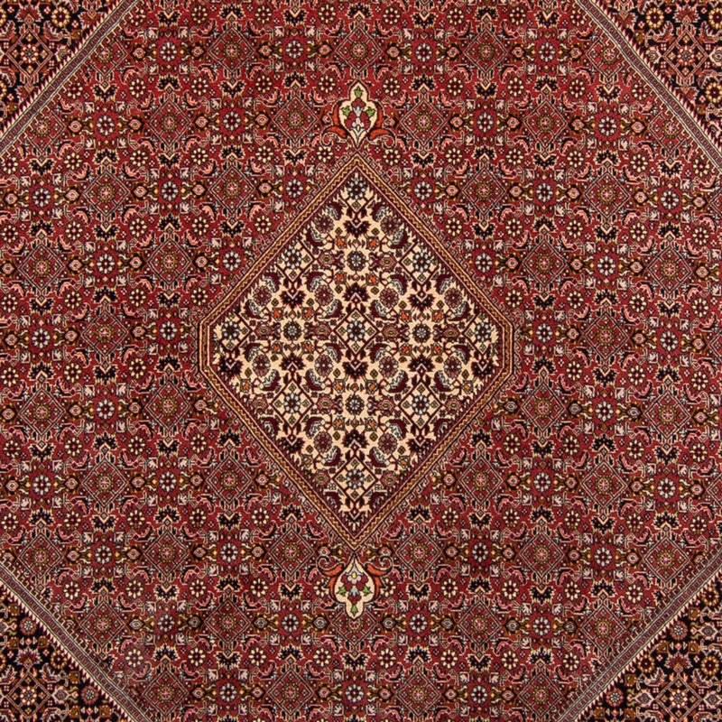 Tapis persan - Bidjar - 338 x 250 cm - marron