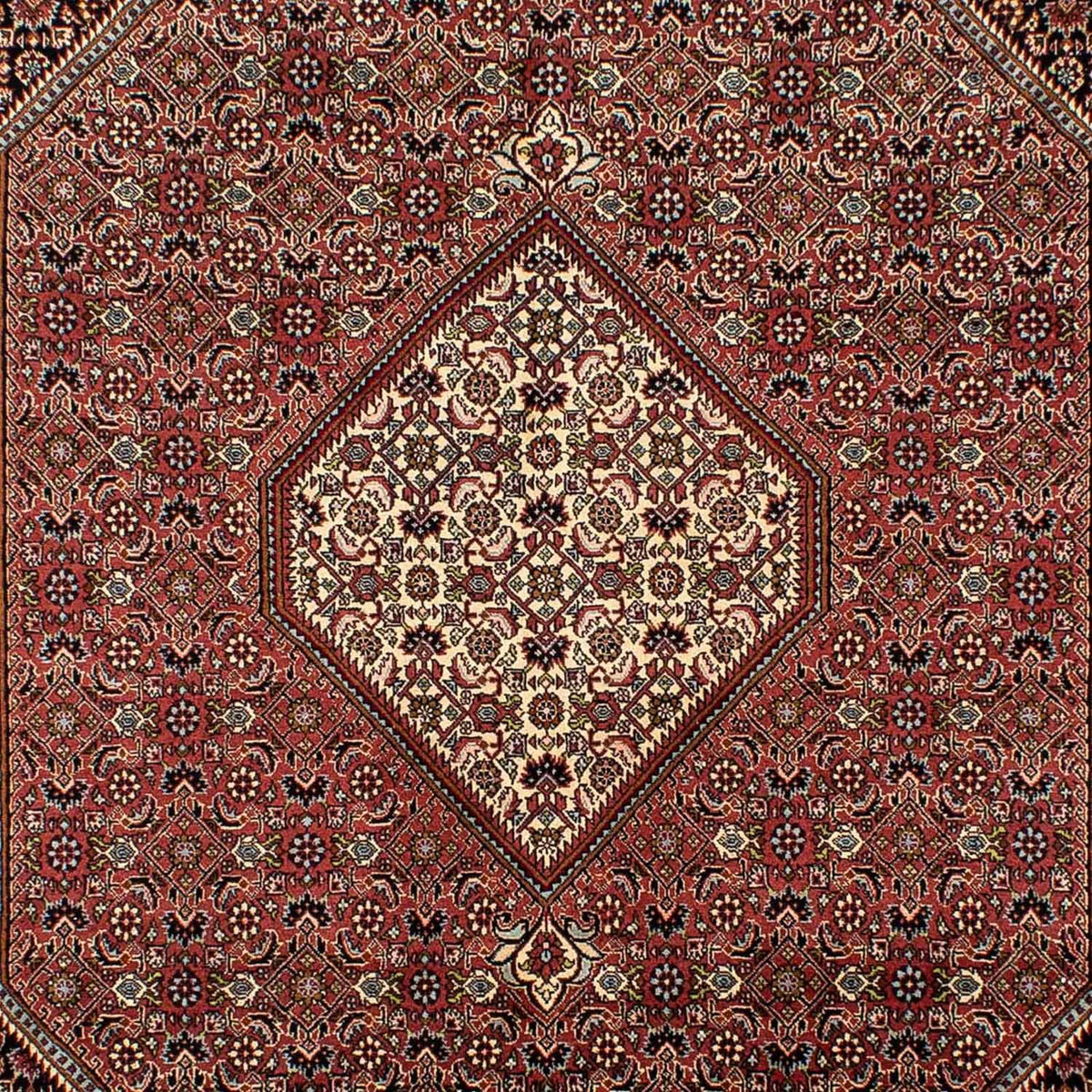 Tapis persan - Bidjar - 298 x 195 cm - marron