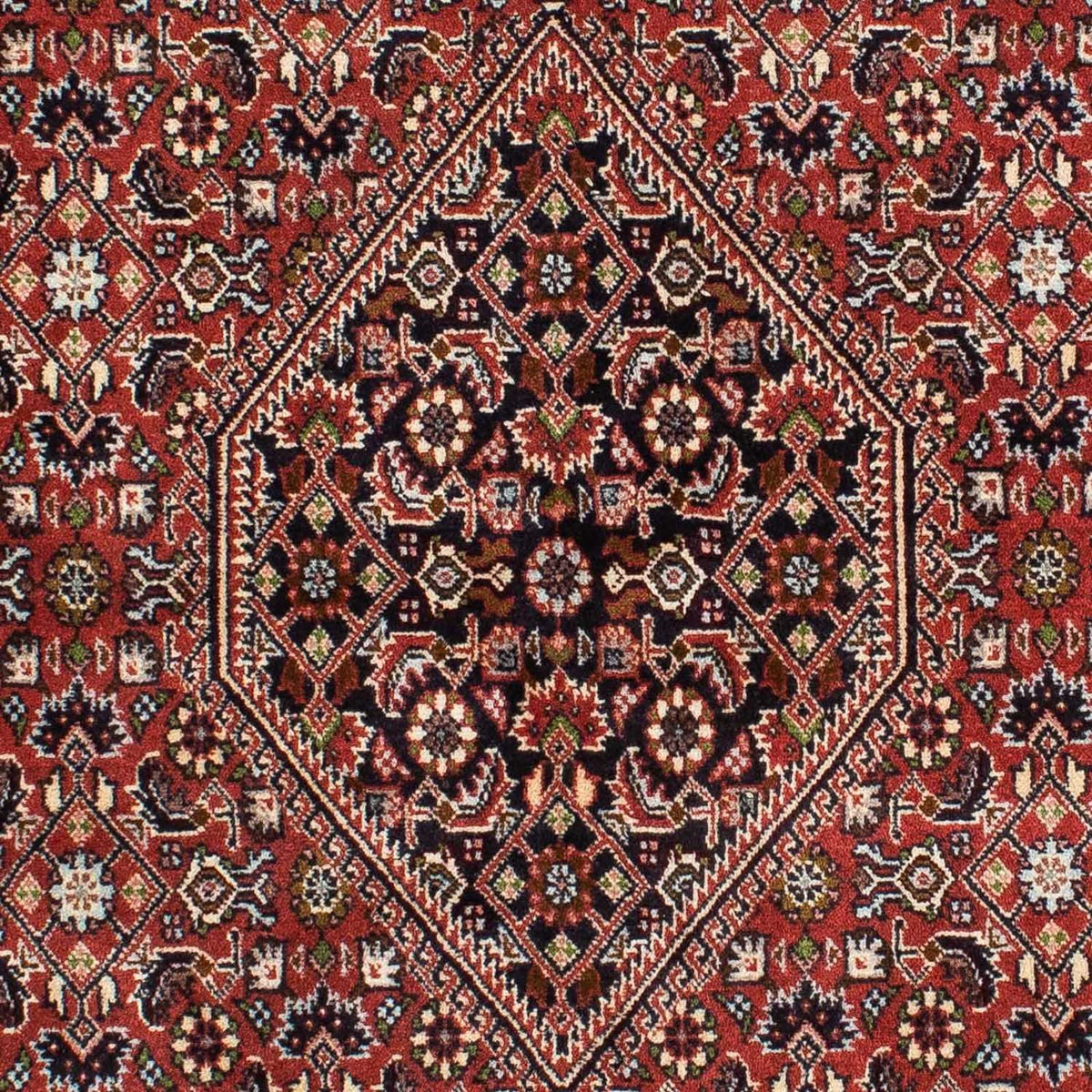 Tapis persan - Bidjar - 228 x 139 cm - rouge