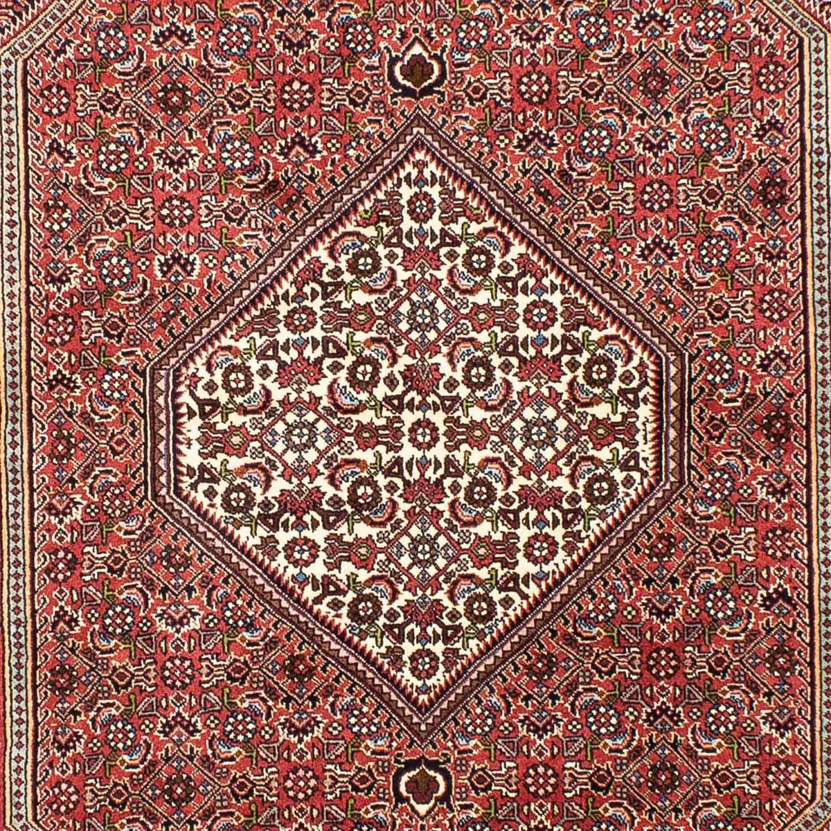 Tapis persan - Bidjar - 255 x 170 cm - rouge clair