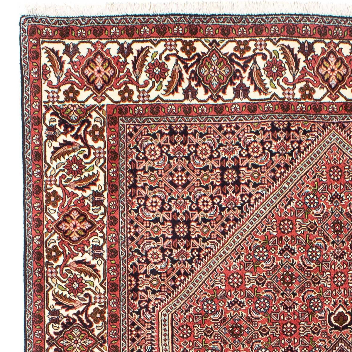 Tapis de Bidjar Tapis 170x255cm - Tapis persan