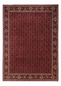 Tapis persan - Bidjar - 350 x 250 cm - rouge