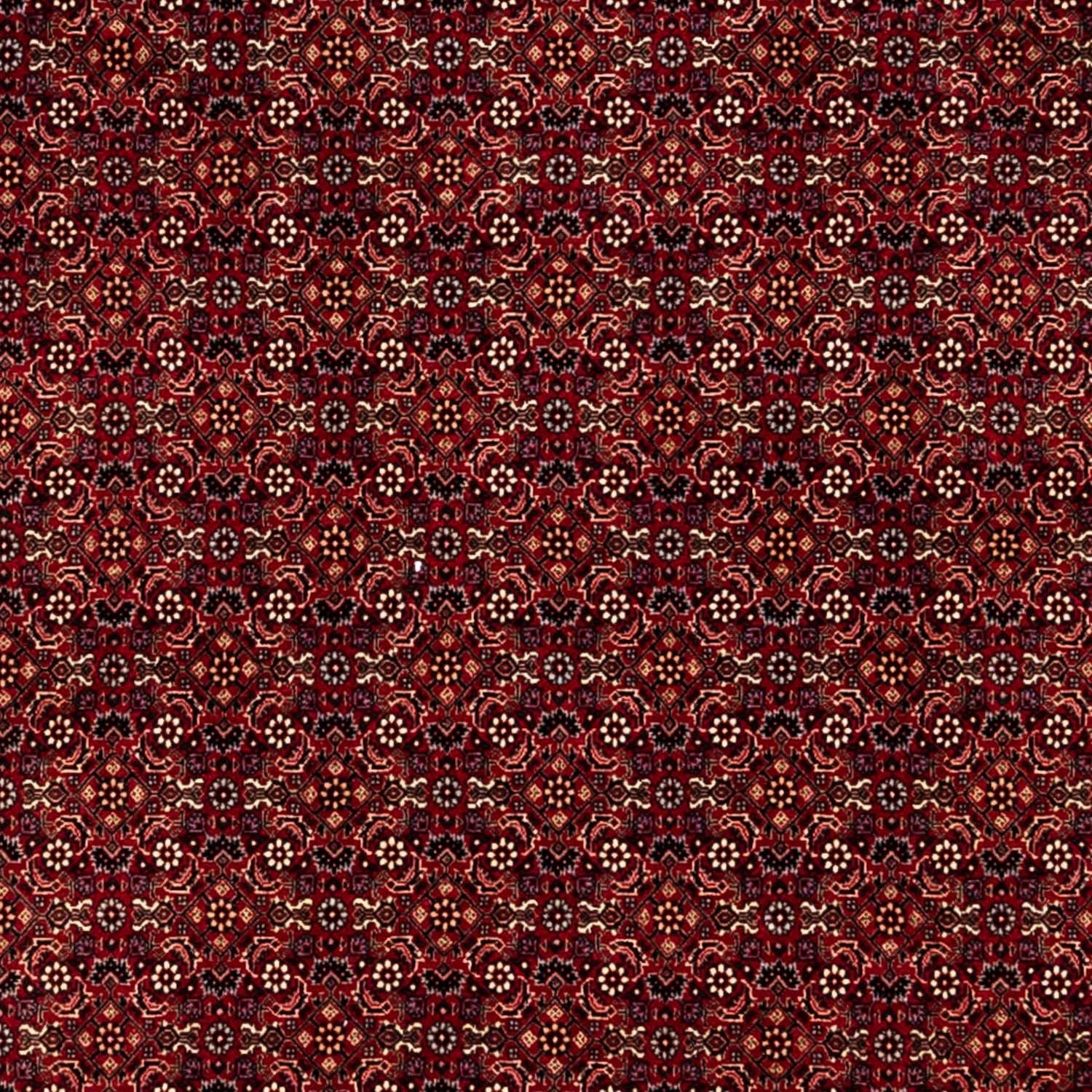 Tapis persan - Bidjar - 350 x 250 cm - rouge