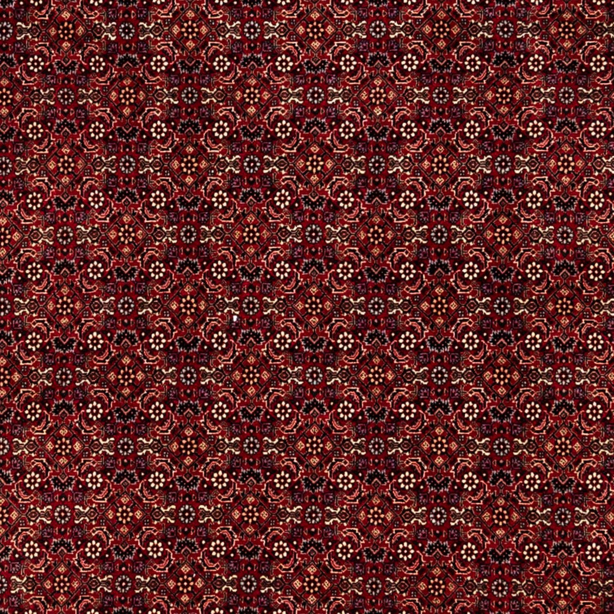 Tapis persan - Bidjar - 350 x 250 cm - rouge