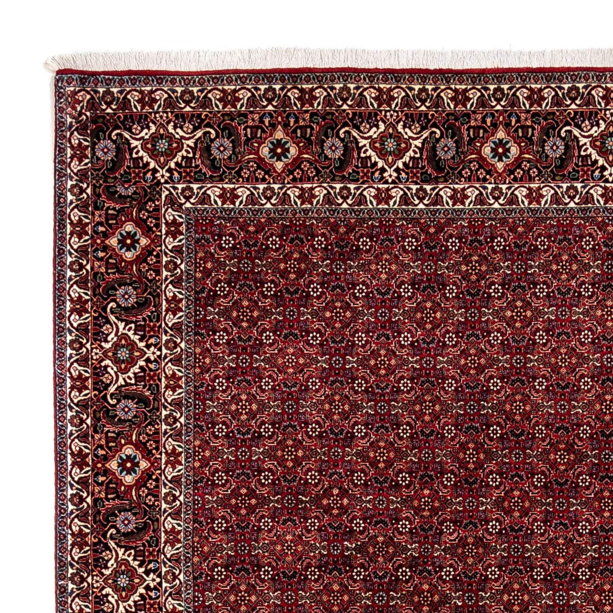 Tapis persan - Bidjar - 350 x 250 cm - rouge