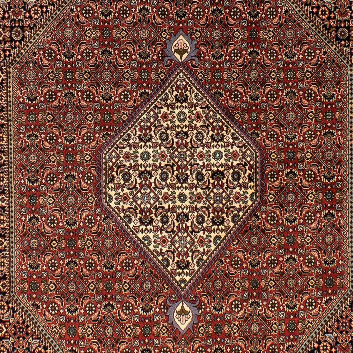 Tapis persan - Bidjar - 250 x 173 cm - marron