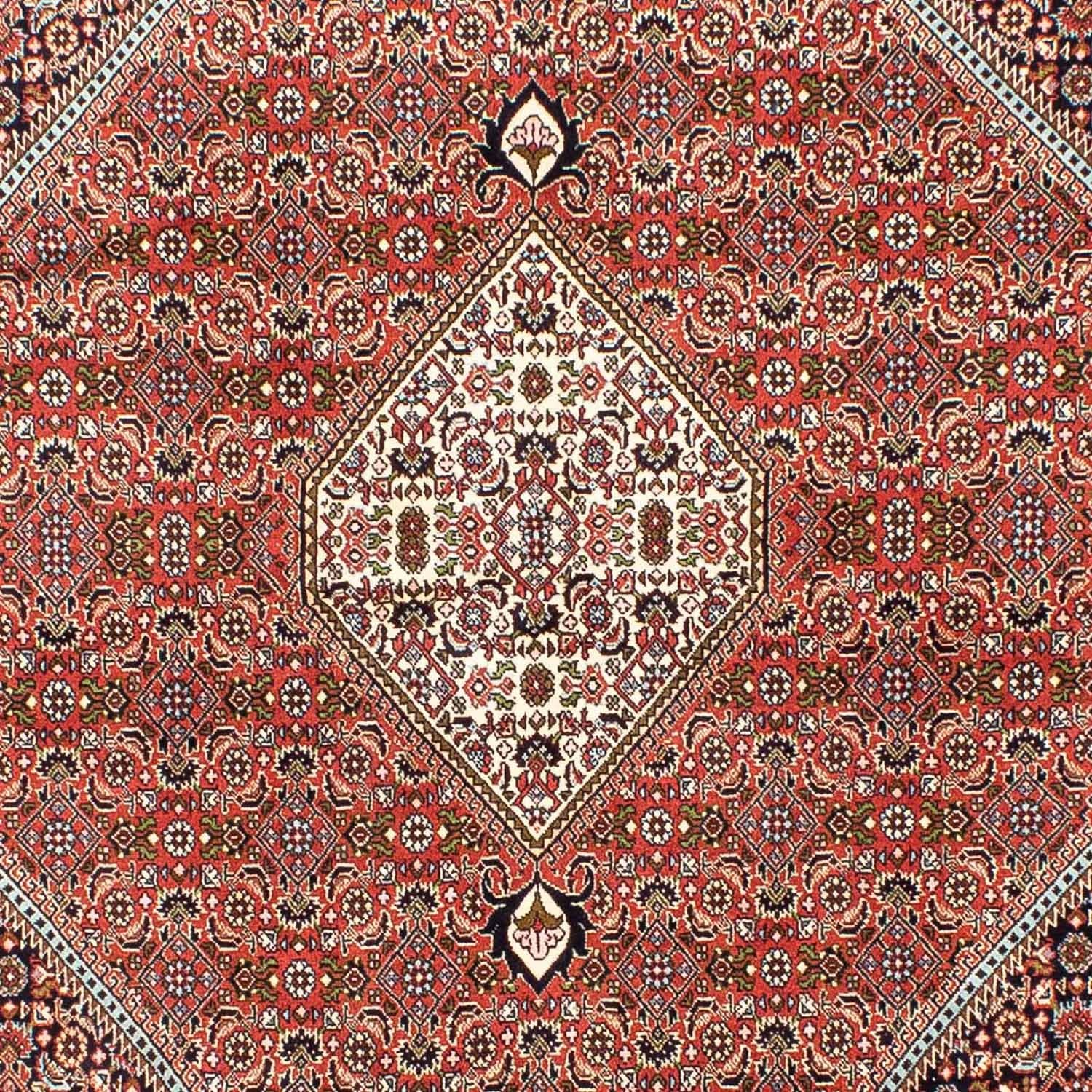 Tapis persan - Bidjar - 253 x 174 cm - rouge clair
