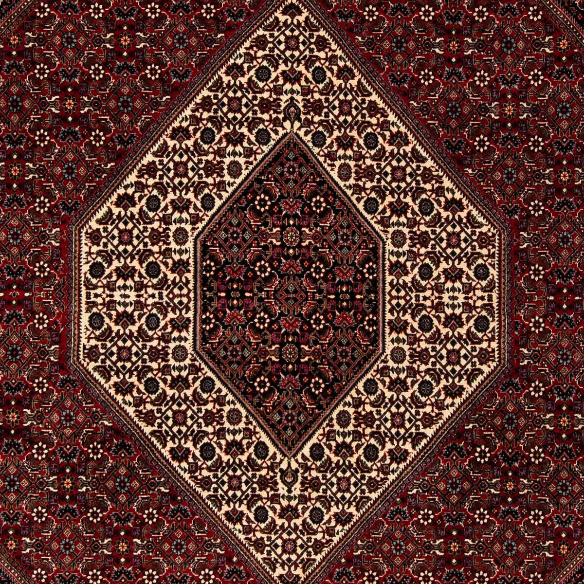 Tapis persan - Bidjar - 251 x 203 cm - rouge foncé