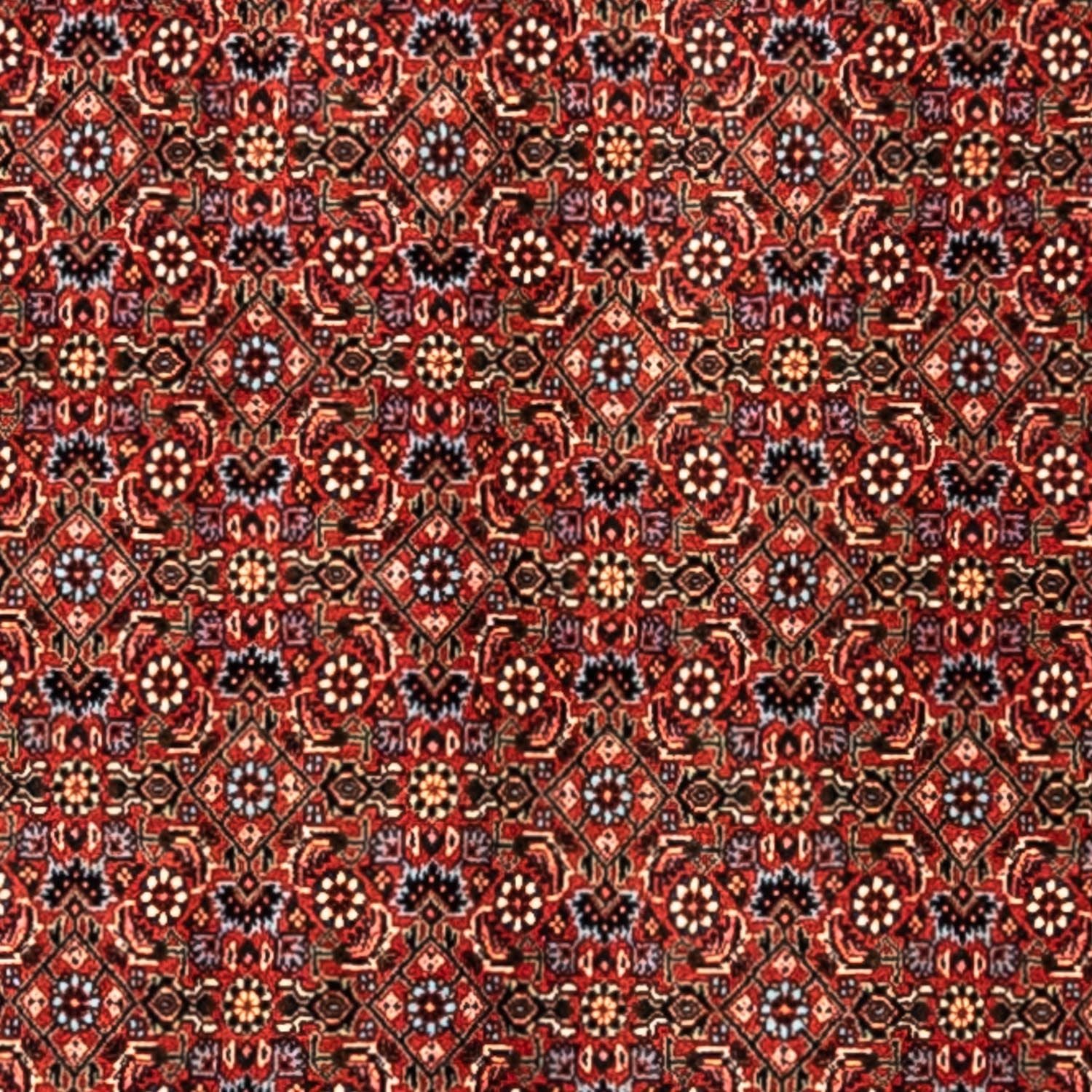 Tapis persan - Bidjar - 363 x 248 cm - rouge