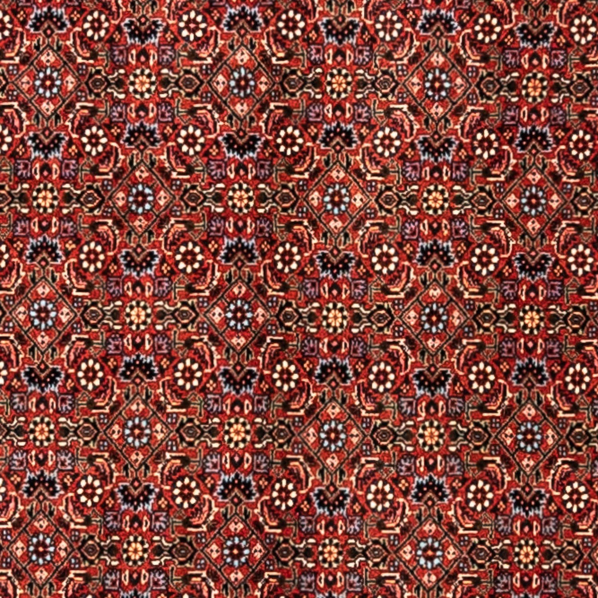 Tapis persan - Bidjar - 363 x 248 cm - rouge