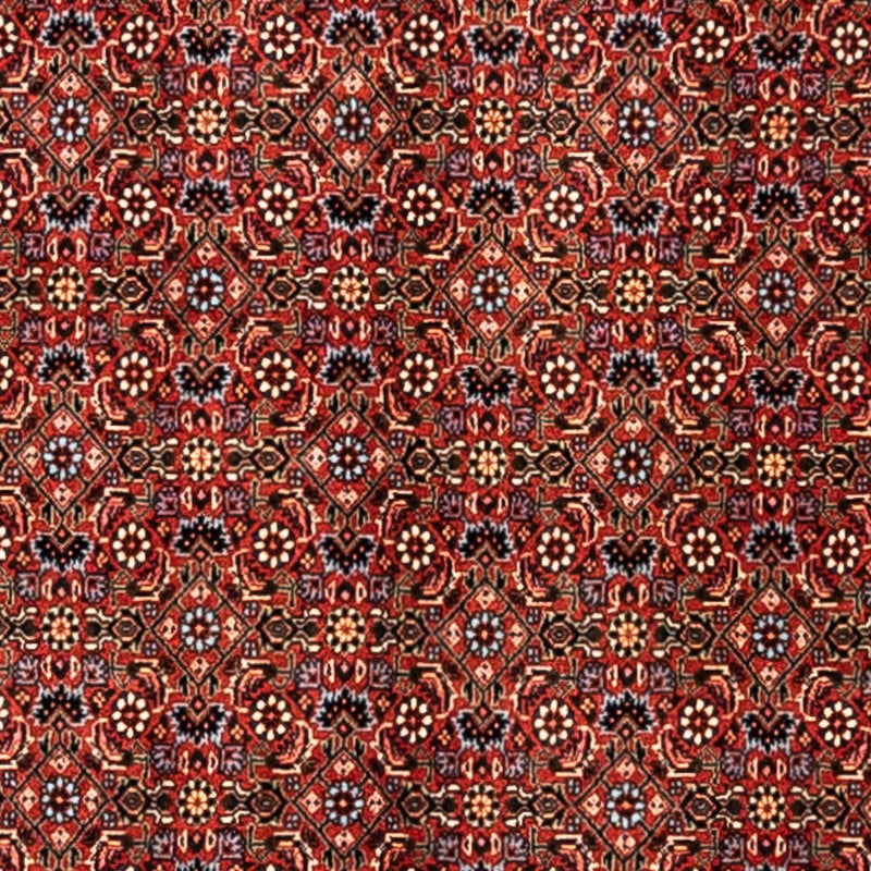 Tapis persan - Bidjar - 363 x 248 cm - rouge