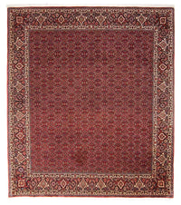 Tapis persan - Bidjar - 288 x 256 cm - rouge foncé