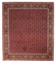 Tapis de Bidjar Tapis 288x256cm - Tapis persan