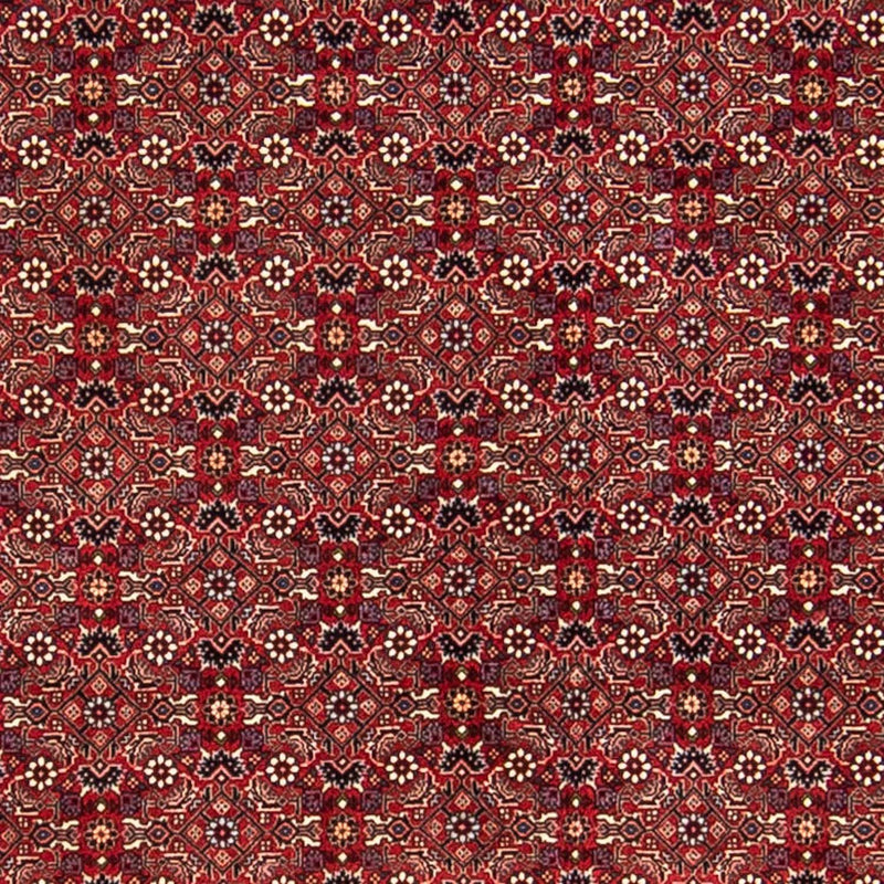Tapis persan - Bidjar - 288 x 256 cm - rouge foncé