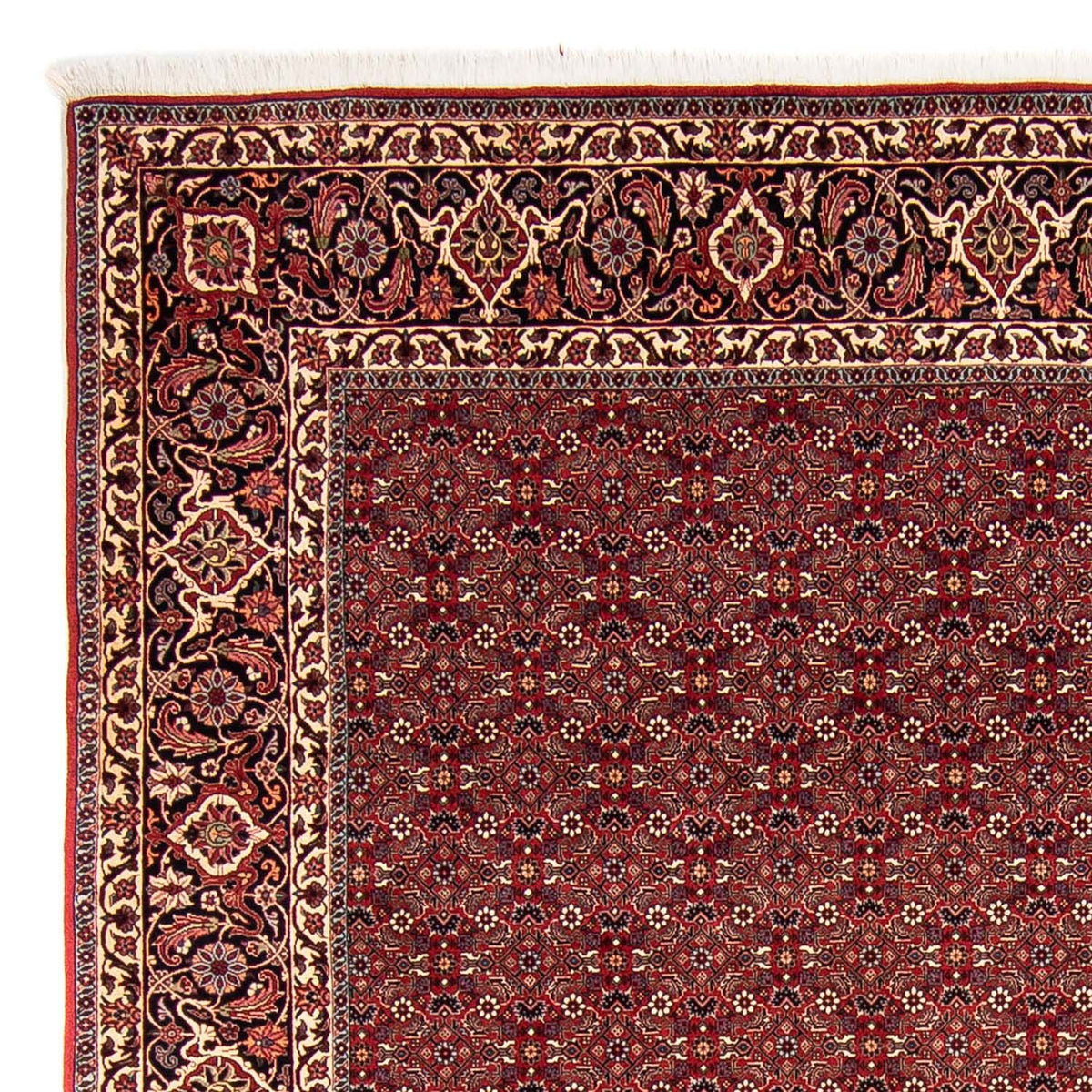 Tapis persan - Bidjar - 288 x 256 cm - rouge foncé