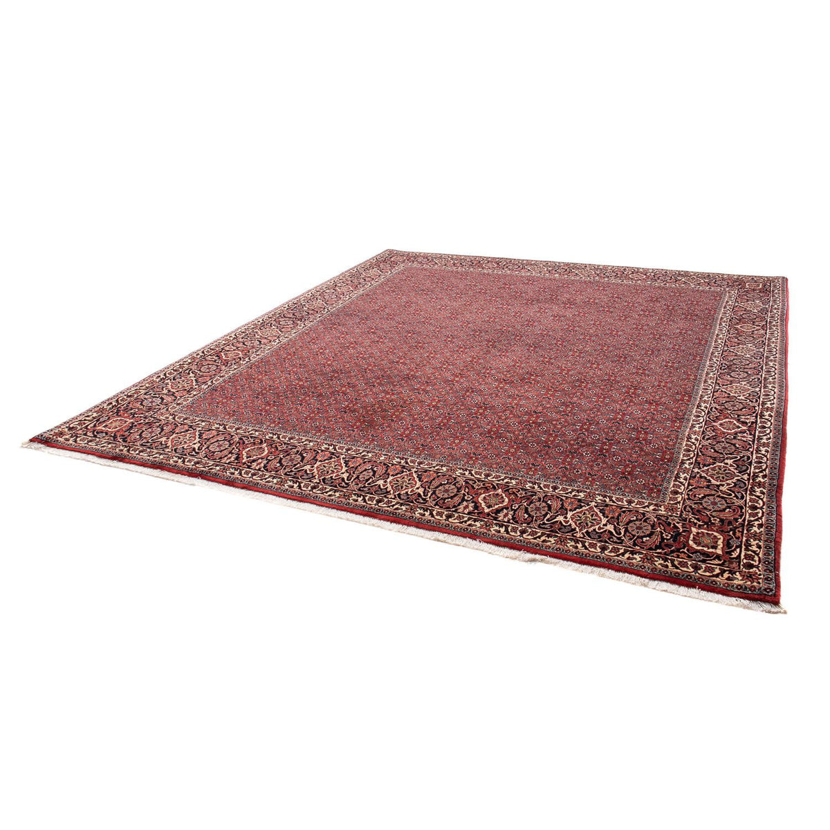 Tapis persan - Bidjar - 288 x 256 cm - rouge foncé