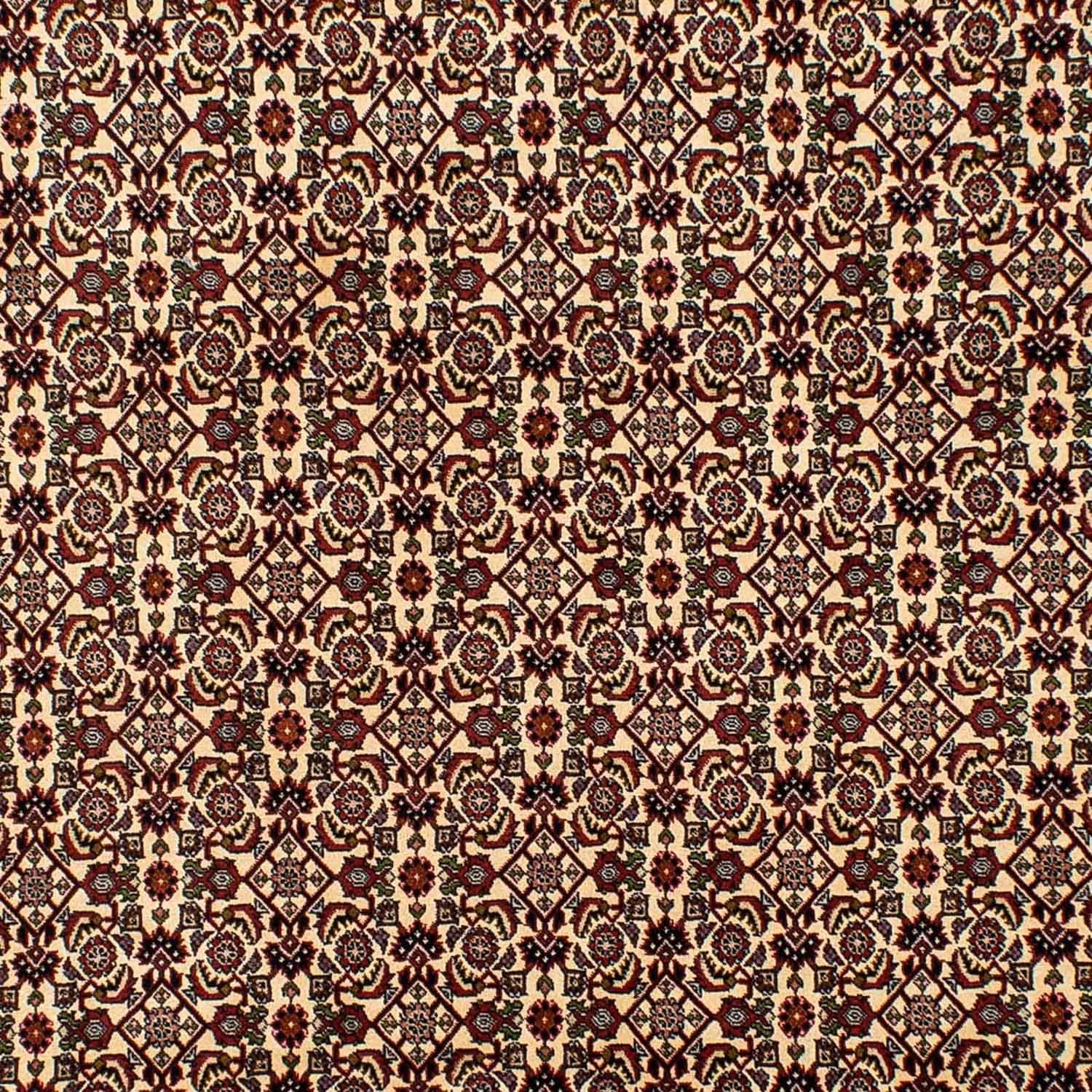 Tapis persan - Bidjar - 298 x 200 cm - beige