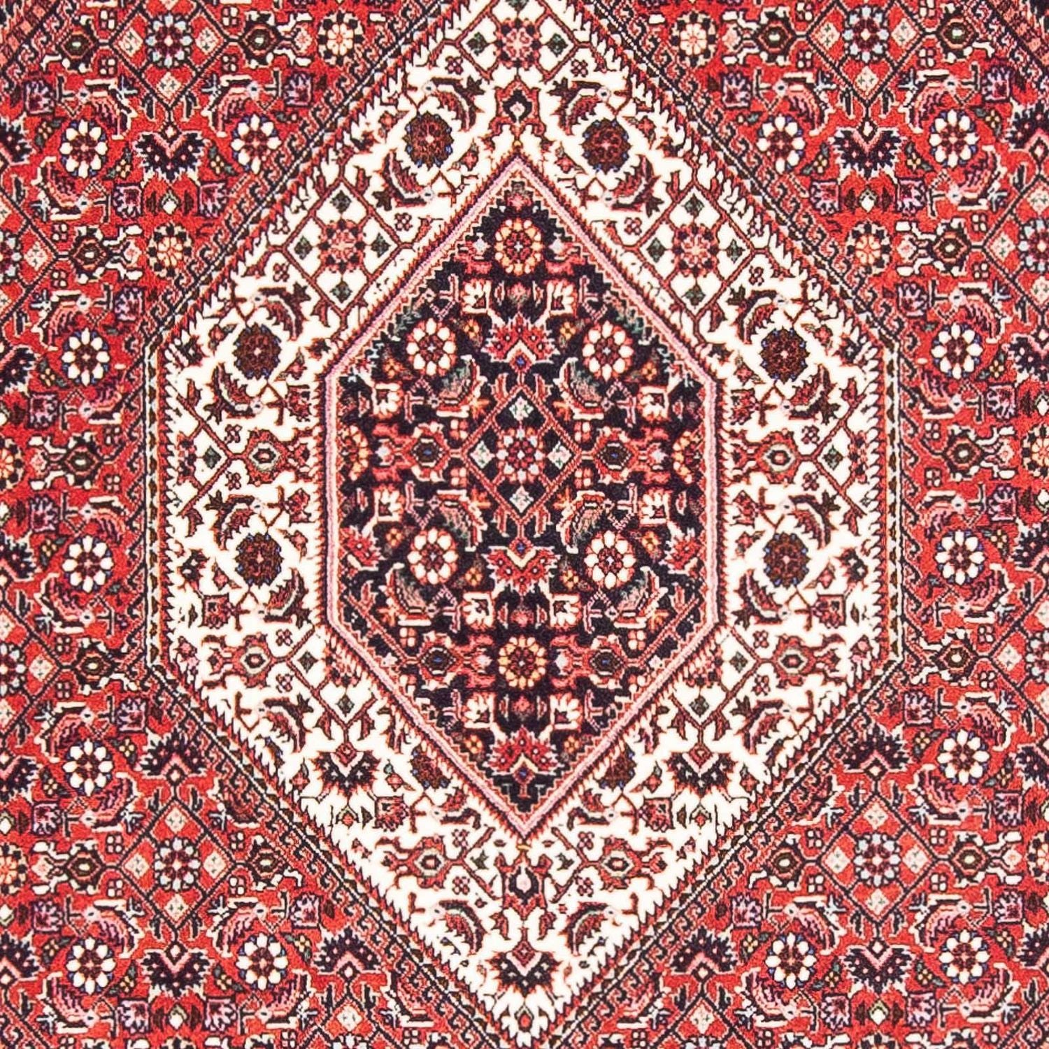 Tapis persan - Bidjar - 175 x 112 cm - rouge