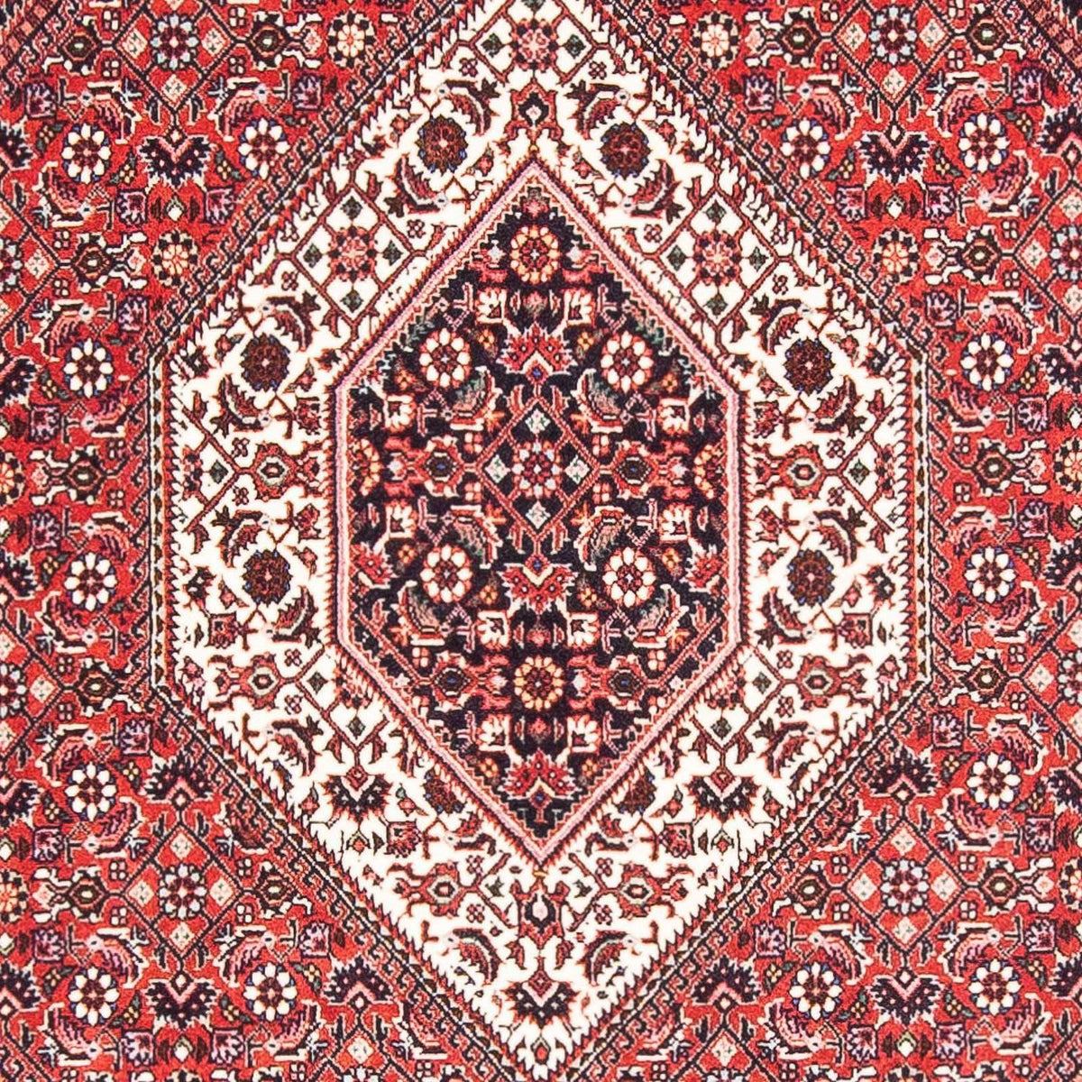 Tapis persan - Bidjar - 175 x 112 cm - rouge