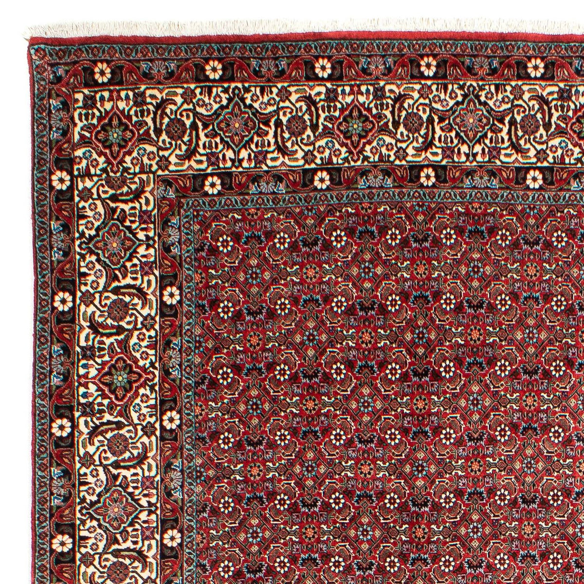 Tapis de Bidjar Tapis 203x290cm - Tapis persan