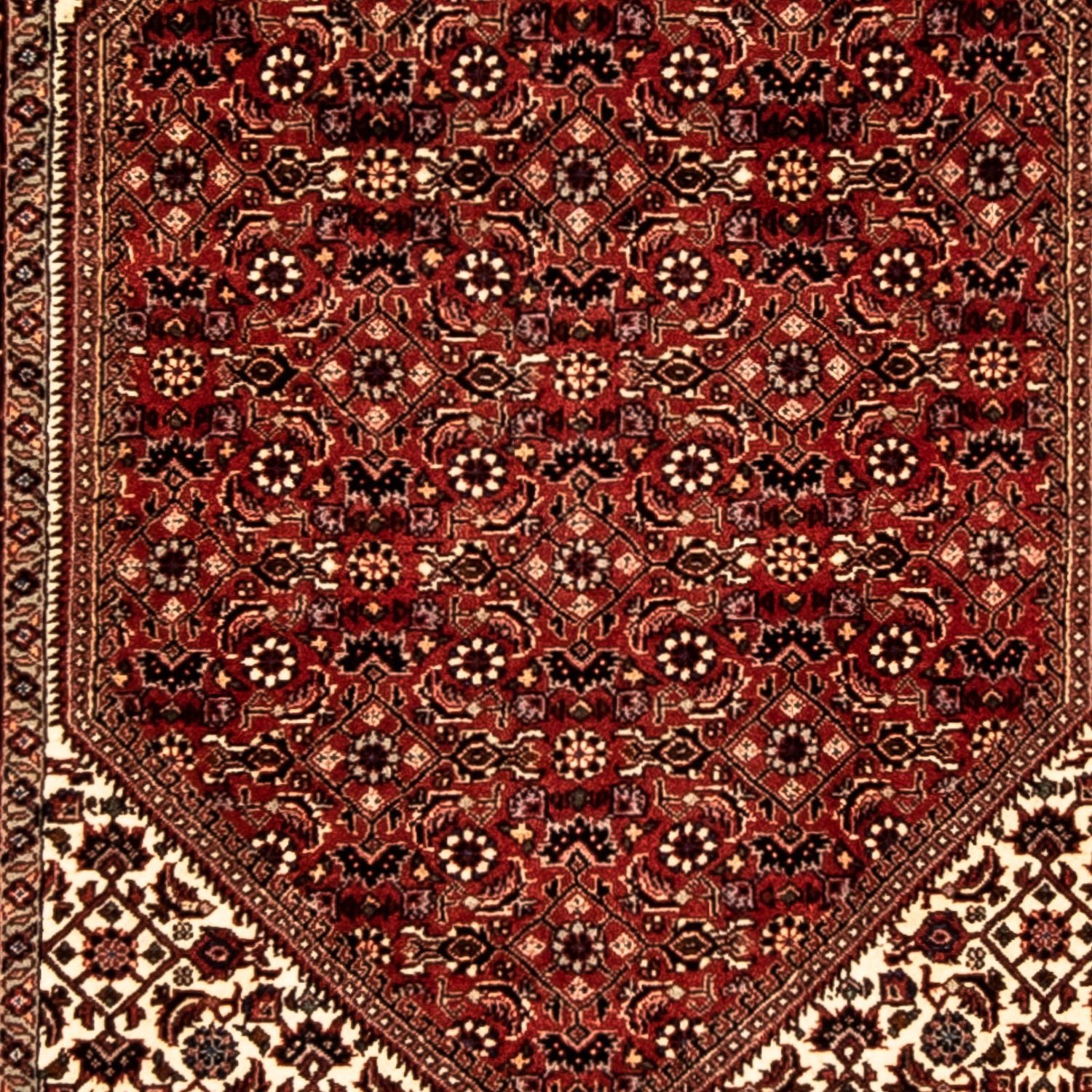 Tapis de couloir Tapis persan - Bidjar - 313 x 82 cm - multicolore