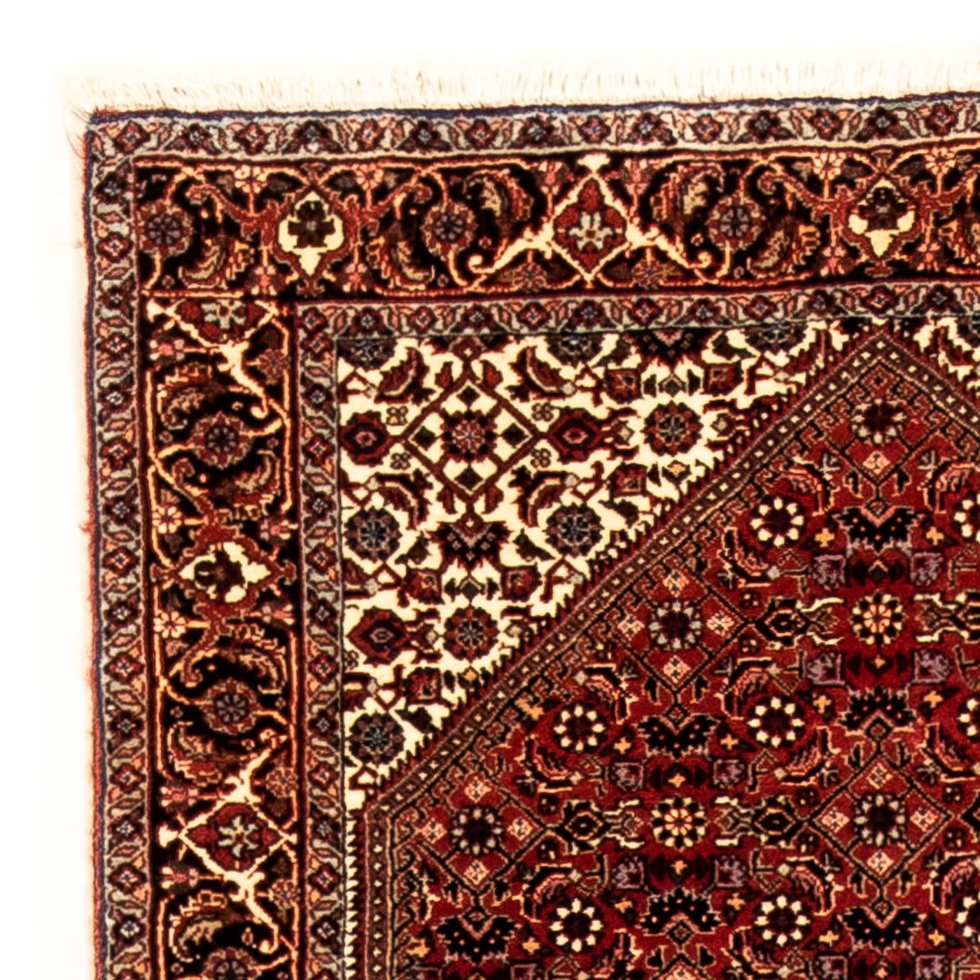 Tapis de Bidjar Tapis 313x82cm - Tapis persan