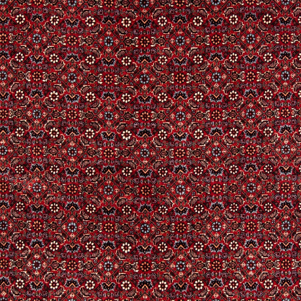 Tapis persan - Bidjar - 243 x 172 cm - rouge foncé