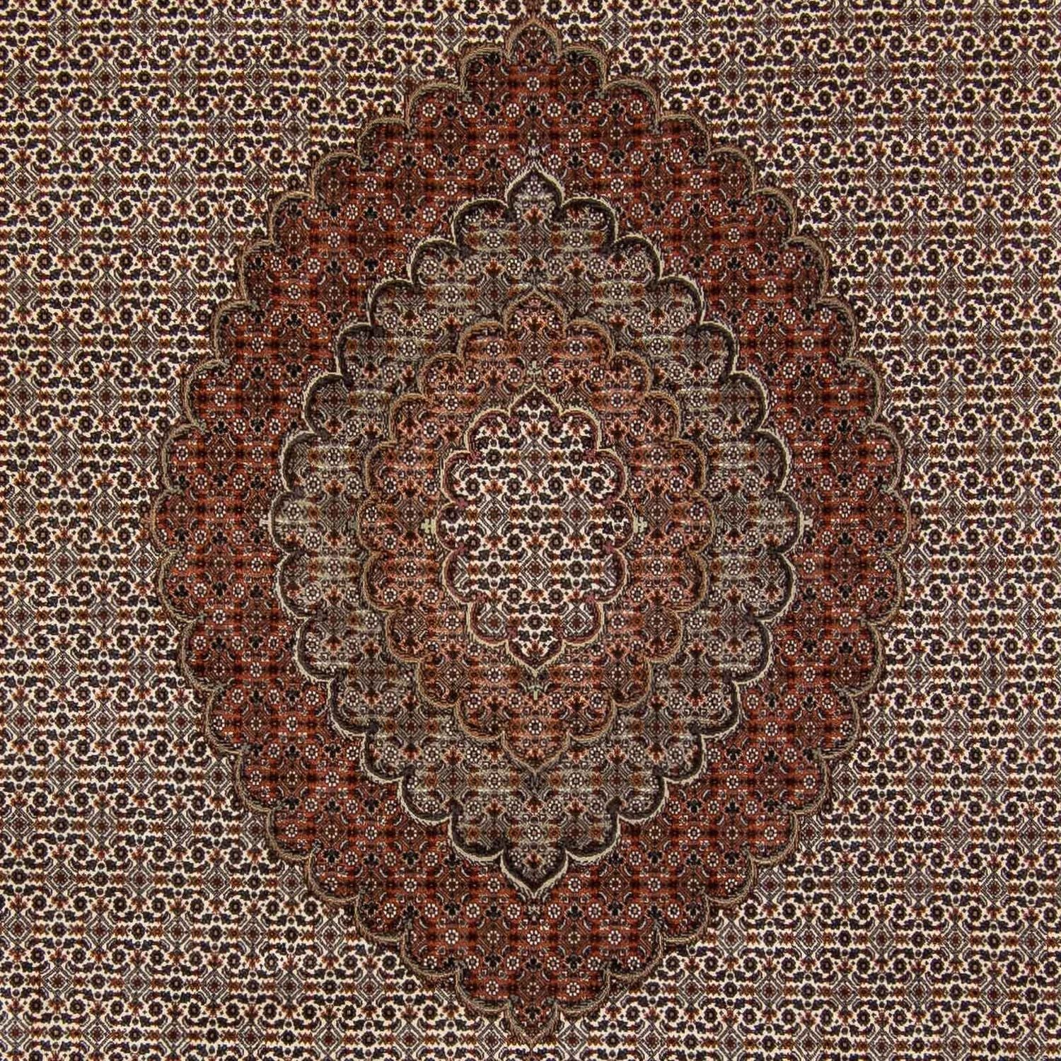 Tapis persan - Tabriz - 350 x 250 cm - marron foncé