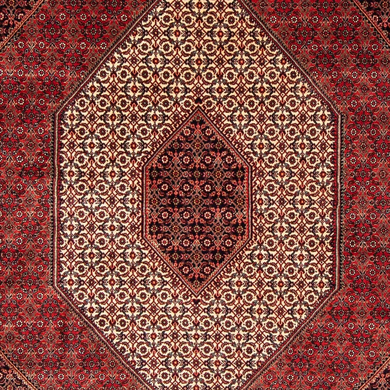 Tapis persan - Bidjar - 248 x 171 cm - rouge foncé